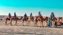 Marrakech : Agafay Desert Camel Ride with Dinner and fire Show
