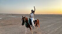 Sunrise Horse Riding 2H Beach and Desert with Transfer : Hurghada
