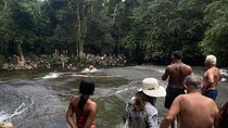 Jipe Tour in Paraty: Waterfalls and Cachaça in Engenho D’Ouro