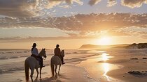 Noordhoek: Private Beach Horseback Riding in Cape Town