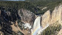 Yellowstone in a Day Private Guided Tour