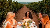 Ibiza: Private Wine & Olive Oil Tasting and Tapas & Transport