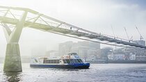 Thames Sightseeing Cruise with Flexible Time and Departure Pier