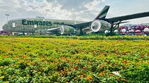 Dubai Miracle Garden Entry with Hotel Transfers