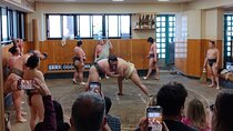 Premium tour/Sumo Practice Viewing & Visit town from Samurai era