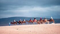 Atlas Mountains and Three Valleys & Waterfalls - Camel ride Day Trip Marrakech