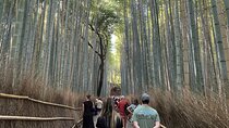 Discover the Hidden Paths of Arashiyama