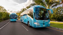 Round Trip bus and ferry ride from Cancun to Cozumel