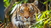 5 Days Golden Triangle Tour with Ranthambore India