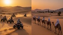 Amazing Quad biking & Camel ride in Sharm el-Sheikh