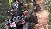 Mallorca : Quad tour in Magaluf along coves, roads and cliffs