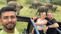 Elephant Safari in Minneriya/Kaudulla & Eco National Park