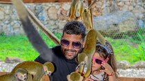 Monkey Sanctuary, Cenote & Plantation Tour in Punta Cana