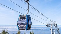 Vancouver Grouse Mountain and Granville Island Tour