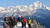 Scenic Adventure: Group Joining 2-Day Poon Hill Trek Tour