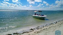 3-Hour Clearwater Beach Adventure – Dolphins, Sandbars & Sunshine