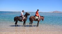 Hurghada: 2-Hour Desert & Seaside Horse Ride with Transfer