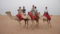 Morning 30 Minute Private Camel Safari in Dubai