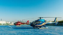 Helicopter Tour in Dubai