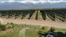 Wines of high altitude Uco-Premium Experience Valley, Small groups.