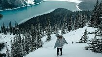 Banff: Lake Louise, Marble Canyon, Bow Lake, Peyto Lake Tour