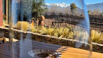 Wine & Mountains Views Premium Experience