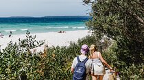 From Sydney: Day Tour to Jervis Bay with Beaches and Koalas