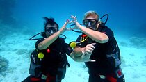 Hurghada Underwater Discovery: Intro Dive for Beginners"