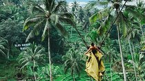 Bali Swing, Monkey Forest and Waterfall Tour 