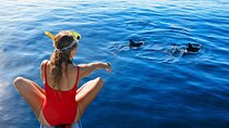 Private Speedboat Dolphin House Snorkeling & Water Sport–Hurghada