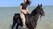 Horseback Riding and 2 Hour Turkish Hammam Experience Hurghada