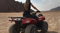 Exciting ATV & Camel with Traditional Dinner and Show – Hurghada