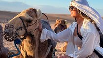 Marrakech: Camel Ride, Sunset & Dinner Under the Stars In Agafay