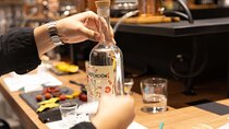 CDMX Create your Craft Mezcal from scratch - Col. Roma