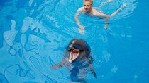 Dolphin House Luxury Snorkeling Sea Trip & With Lunch - Hurghada