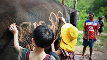 Phuket Ethical Elephant Care Sanctuary Nai Dee Half-Day or 2-Hour