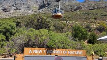 Half-Day Table Mountain Tour | Fast Track Skipped Queue Service