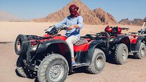 ATV Quad Bike Safari and Camel Ride with Transfer :Hurghada