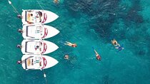 Speedboat tour Snorkeling and Transportation for One Price 