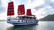 Hidden Paradise of Bai Tu Long Bay Day Cruise and Kayak Adventure