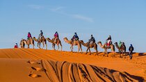Shared Merzouga Desert Tour from Marrakech (3 Days and 2 Nights)