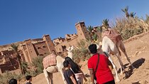 2 Days desert tour to Zagora from Marrakech 