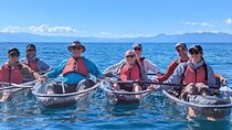 Clear Kayak Tour