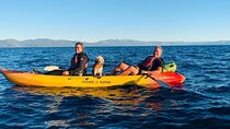 Lake Tahoe: North Shore Kayak Rental