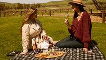 Picnic and Wine Tasting Experience in the Barossa Valley
