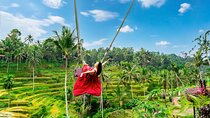 Ubud Private Tour: Waterfalls, Temple and Rice Terraces Swing 