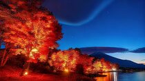 Mt Fuji Twin Lakes Maple Festival Night Lights Tour