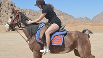 Horse Riding One hour At Amazing Desert With Transfer - Hurghada