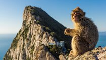 Gibraltar and Puerto Banús Tour from Málaga