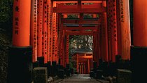 Kyoto: Top 3 Highlights Tour — Fushimi Inari, Nijo & Kinkaku-ji